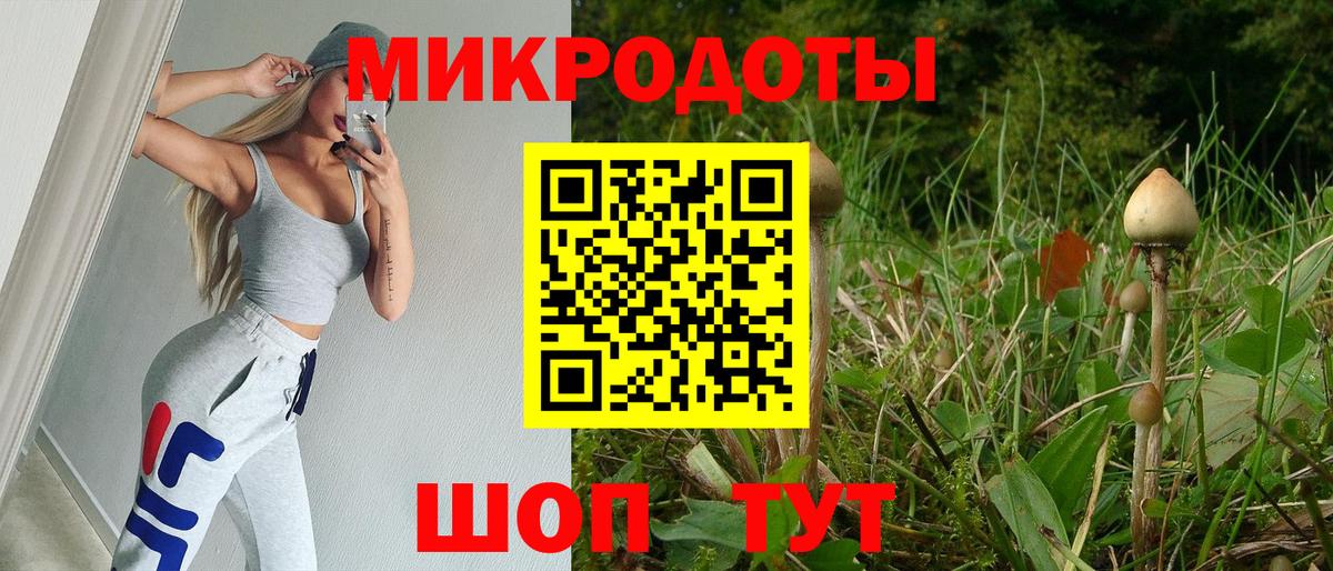 Псилоцибиновые грибы Cubensis  Вход с VPN  Чебоксары 